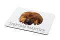 Miniatyrbild 2 av 4: Tibetansk Mastiff, Tibetansk Grand Danois - geometrisk dyna med ett foto och inskription för Art-Dog-musen