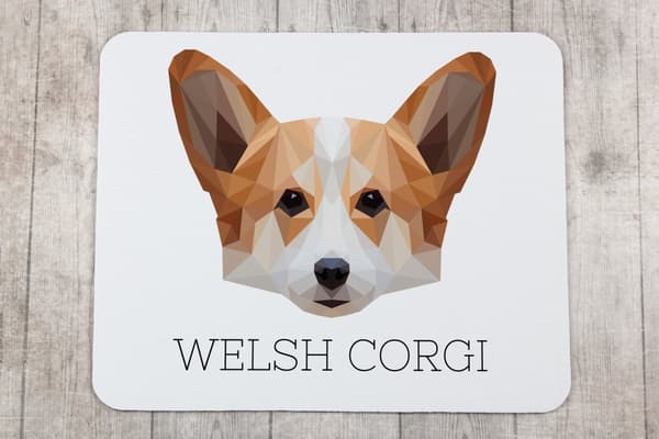 Pembroke Welsh Corgi - en geometrisk dyna med ett foto och en inskription för Art-Dog-musen