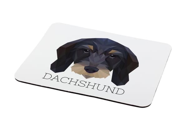 Teckel wirehair - geometrisk pude med foto og inskription til Art-Dog musen