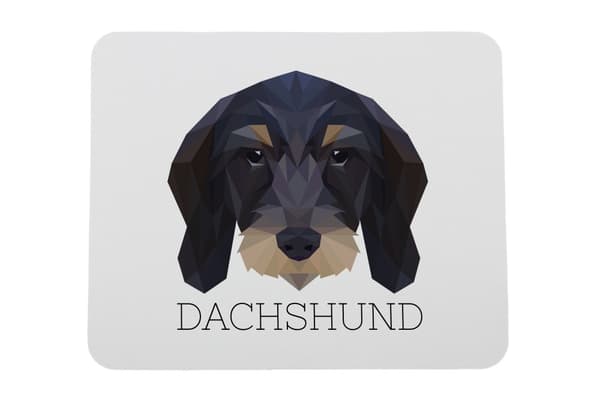 Teckel wirehair - geometrisk pude med foto og inskription til Art-Dog musen