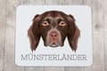 Miniatyrbild 3 av 4: Münsterländer - geometrisk dyna med foto och inskription för Art-Dog-musen