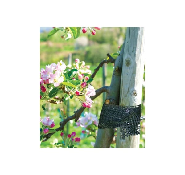 Trädgårdsband Bradas 3cm x 60m