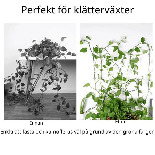 Älykkäät kasvitelineet - seinäkiinnikkeet Vihreä 10 kpl