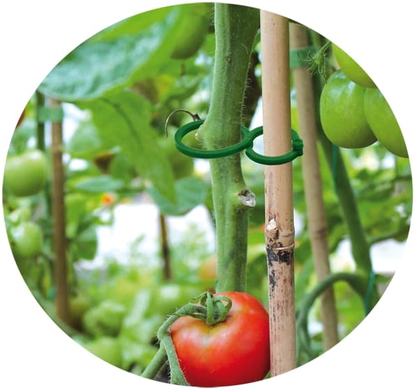 Set med 15 produkter. Slipsklips for planter - 2 størrelser