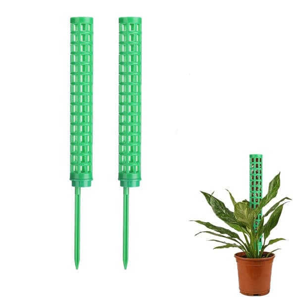 INF Mosestenger for klatreplanter