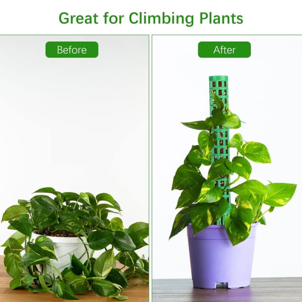INF Mosestenger for klatreplanter