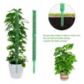 Miniatyrbilde 2 av 5: INF Mosestenger for klatreplanter