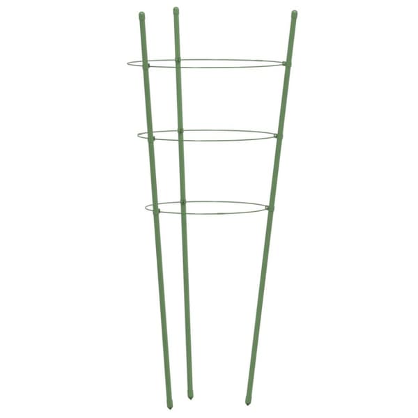 The Living Store Växtstöd med 3 ringar 5 st grön 75 cm stål -  Planteringsburar & -stöd