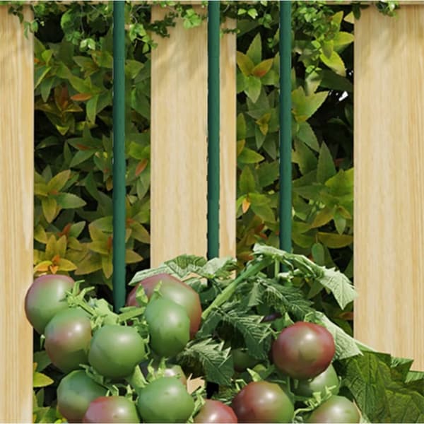 Planteringsburar & -stöd - Living Växtstöd 30 st grön 180 cm stål