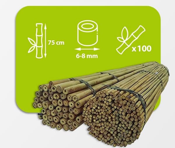 Bambukepit, bambu sauvat 75 cm 6/8 mm /100 kpl/