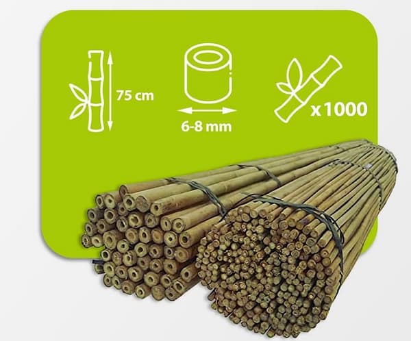 Bambukepit, bambu sauvat 75 cm 6/8 mm /1000 kpl/