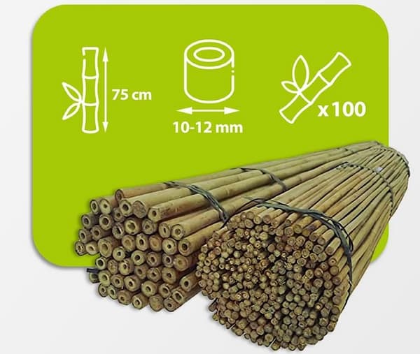 Bambukepit, bambu sauvat 75 cm 10/12 mm /100 kpl/