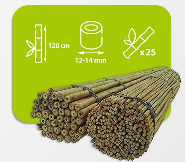 Bambusstænger 120 cm 12/14 mm /25 stk/