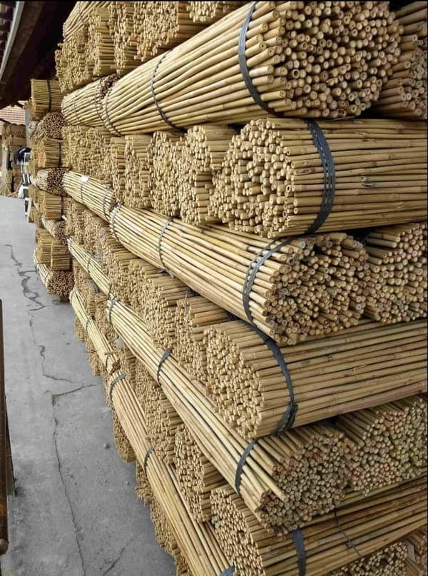 Bambukepit, bambu sauvat 120 cm 12/14 mm /100 kpl/