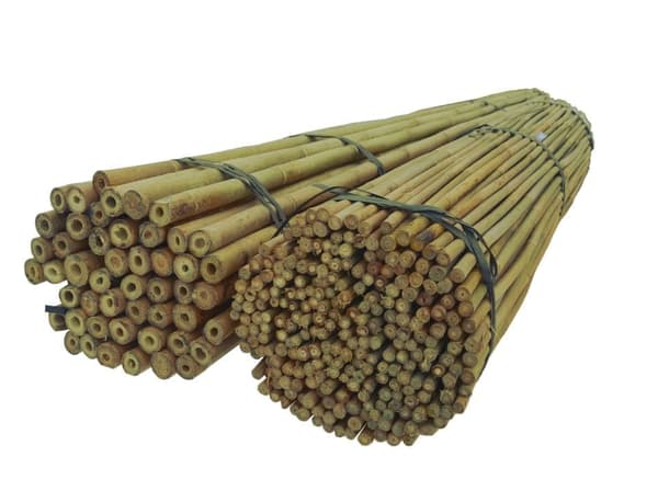 Bambukepit, bambu sauvat 120 cm 12/14 mm /100 kpl/
