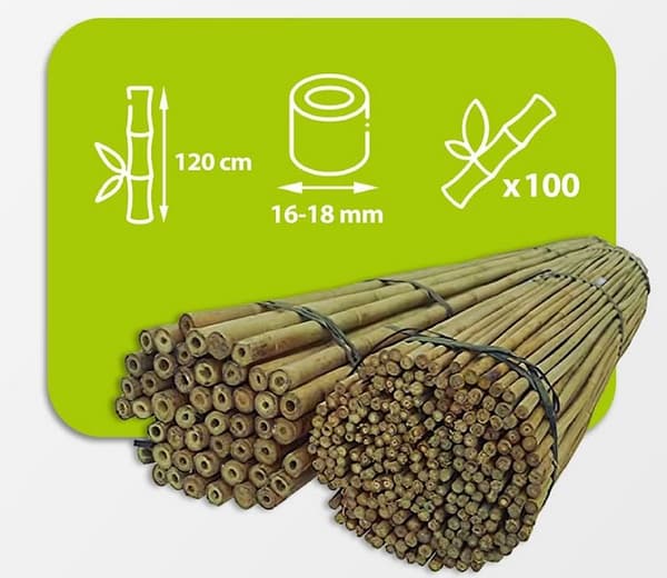 Bambukepit, bambu sauvat 120 cm 16/18 mm /100 kpl/
