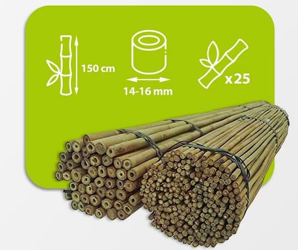 Bambukepit, bambu sauvat 150 cm 14/16 mm /25 kpl/