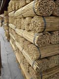 Pikkukuva 10 / 11: Bambukepit, bambu sauvat 150 cm 20/22 mm /10 kpl/