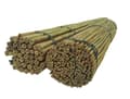 Pikkukuva 1 / 11: Bambukepit, bambu sauvat 150 cm 20/22 mm /10 kpl/