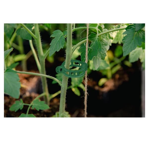 Plante slips, 500 stk.