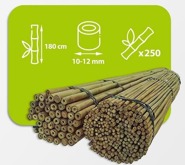 Bambukepit, bambu sauvat 180 cm 10/12 mm /250 kpl/