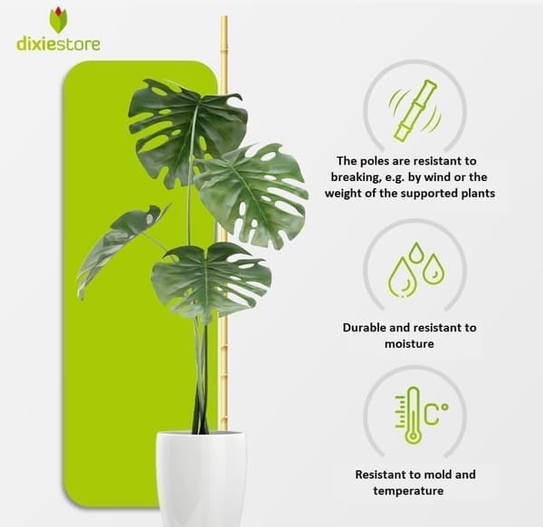 Bambukepit, bambu sauvat 194 cm 16/18 mm 25 kpl/