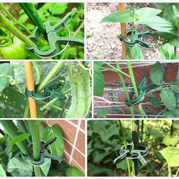 Växtklämmor / Klämmor för Plantstöd Spaljé 50-pack