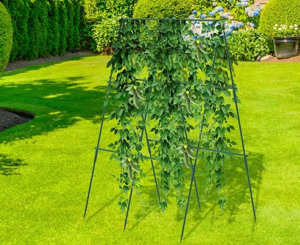 Stel til klatreplanter XXL Støtte til agurker tomatplanter 120x80