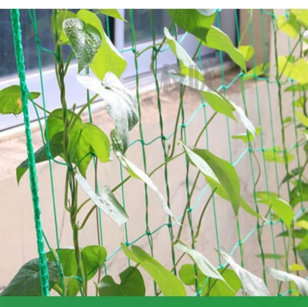Plantenet / Plantestøttenet - Klatrenet til planteklatring