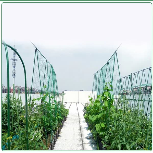 Plantenet / Plantestøttenet - Klatrenet til planteklatring