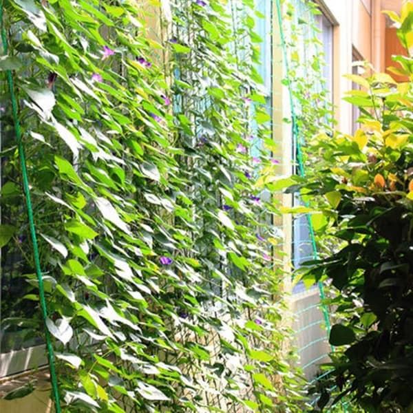 Plantenet / Plantestøttenet - Klatrenet til planteklatring
