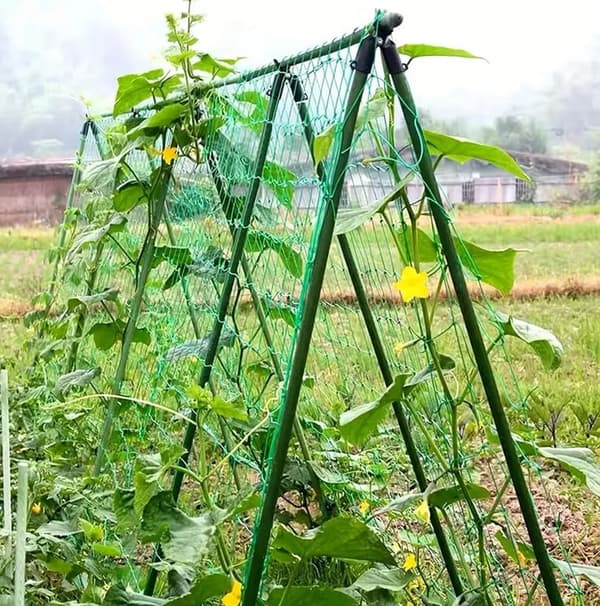 Plantebur med net til tomater, agurker og bønner – planteunderstøttelse 150 x 150 cm
