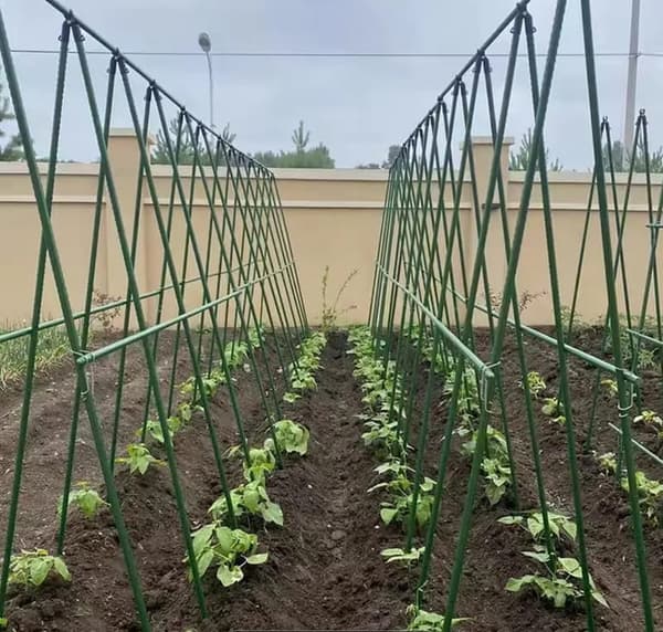 Plantebur med net til tomater, agurker og bønner – planteunderstøttelse 150 x 150 cm