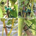 Miniatyrbillede 5 af 5: OBOSOE 100-pak planteklemmer/planteklemmer til espalier