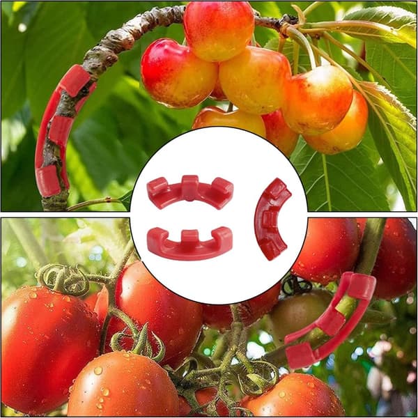 30pcs Plant Bender Branch Holder Clips, Low Stress Branch Trainer, Bending Tools, 90 Degree, for Flowers