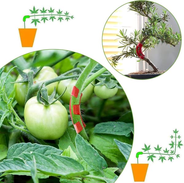 30pcs Plant Bender Branch Holder Clips, Low Stress Branch Trainer, Bending Tools, 90 Degree, for Flowers