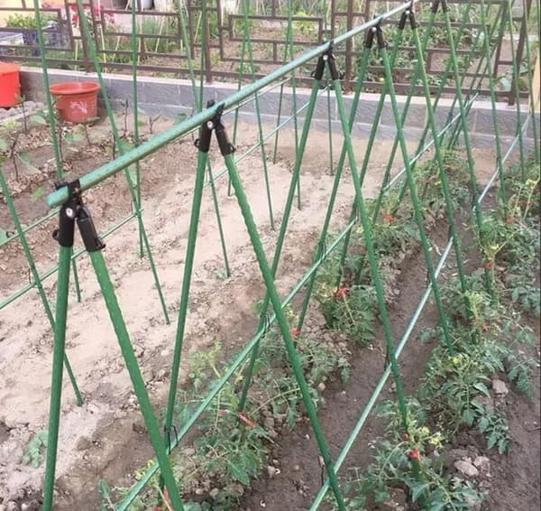 Plantebur med net til tomater, agurker og bønner – planteunderstøttelse 180 x 360 cm