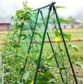 Miniatyrbillede 2 af 10: Plantebur med net til tomater, agurker og bønner – planteunderstøttelse 180 x 360 cm