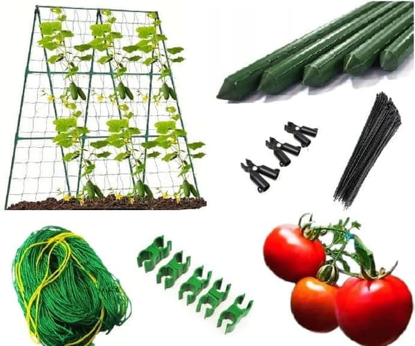 Plantebur med net til tomater, agurker og bønner – planteunderstøttelse 180 x 360 cm