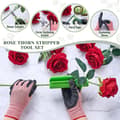 Pikkukuva 4 / 5: Rose Thorn Remover Rose Peeler Rose Thorn Stripper Thorn Peeler Tool
