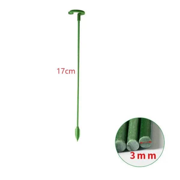 Lollanda-kasvituet 10 kpl 17–58 cm - Vihreä, Puutarha, Sisätiloissa