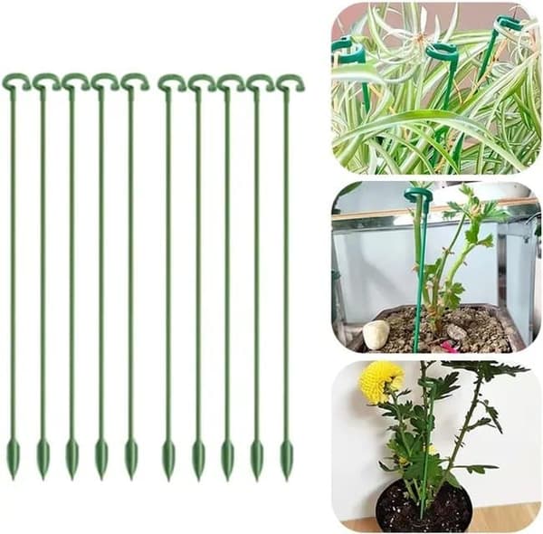 Lollanda Växtstöd 10 st 17–58 cm - Grön, Trädgård, Inomhus