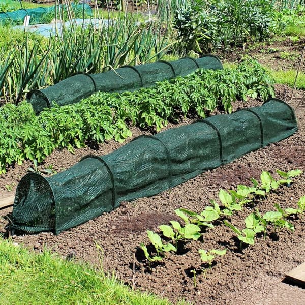 Lollanda Drivhustunnel, Plantegitter / Plantestøtte, 300x45 cm - 2-i-1, Grøntsager, Have