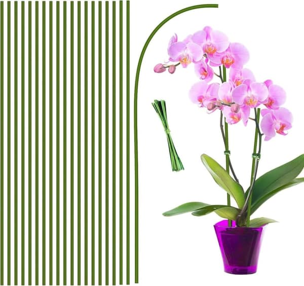 Lollanda Växtstöd/Krukstöd - Stöd för Växter & Blommor - 20-pack  - 40 cm