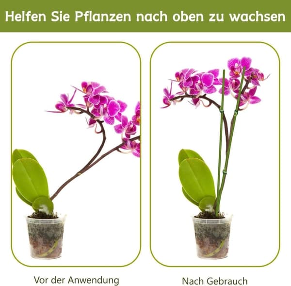 Lollanda Växtstöd/Krukstöd - Stöd för Växter & Blommor - 20-pack  - 40 cm