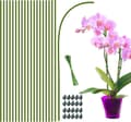 Miniatyrbild 1 av 6: Lollanda Växtstöd/Krukstöd - Stöd för Växter & Blommor - 20-pack  - 40 cm