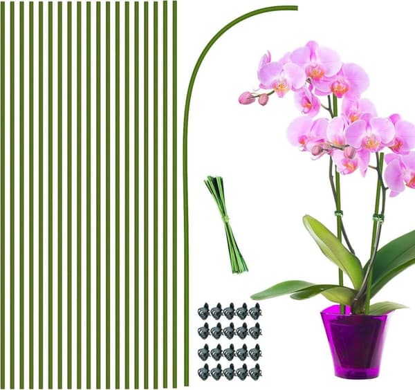 Lollanda Växtstöd/Krukstöd - Stöd för Växter & Blommor - 20-pack  - 40 cm SZ2