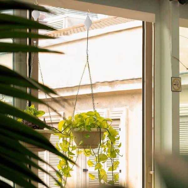Lollanda 2-Pack Justerbara Upphängningskrokar – Utdragbar Växthängare för Blomkrukor, Höj- och Sänkbar Hängare för Inomhus & Utomhus