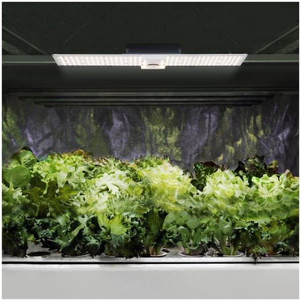 Hillvert Odlingslampa - Fullspektrum - 2000 W - 468 LED - 20 000 Lumen