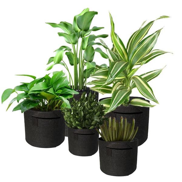 Odlingssäck 5-pack 30 x 30 x 35 cm